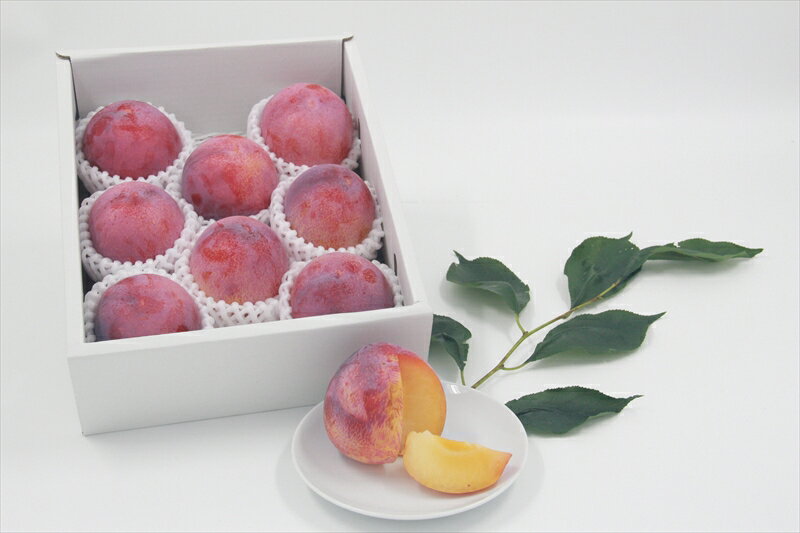 【ふるさと納税】 ＜2026年発送先行予約＞ 南アルプス市産　『貴陽』　特選大玉約1.8kg（7～10玉） ふるさと納税 おすすめ 山梨県 南アルプス市 送料無料 ALPDD014