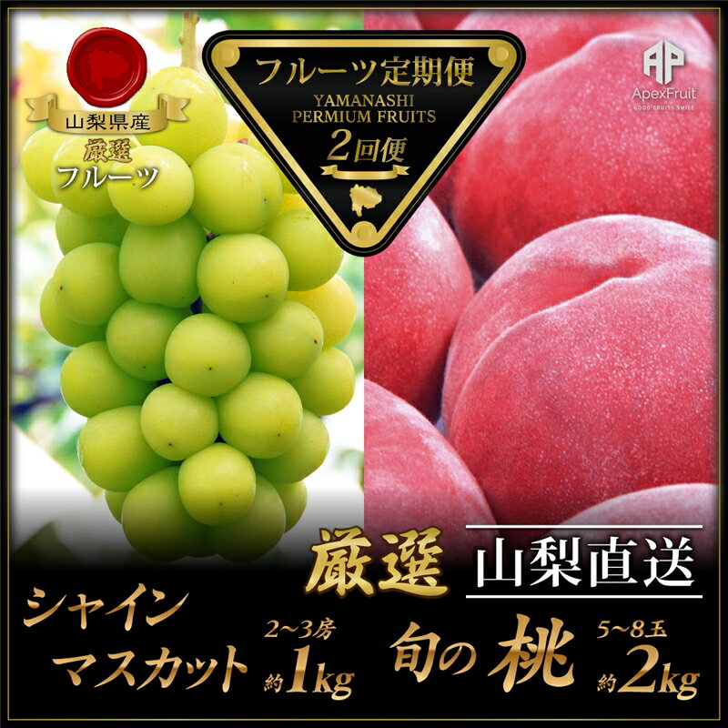 厳選！南アルプス市産『フルーツ定期便2回』　もも×シャインマスカット＜出荷開始：2024年6月下旬頃から順次発送＞6月下旬～8月中　もも（白鳳または白桃）　2kg（5～8玉）・8月下旬～10月下旬　シャインマスカット　約1.0kg（2～3房）