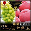 【ふるさと納税】【先行予約】厳選！南アルプス市産『フルーツ定期便2回』　もも×シャインマスカット＜出荷開始：202…