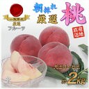 【ふるさと納税】 【25年発送先行予約】厳選!南アルプス市産 朝採れ大玉桃 約2kg(4~6玉) ふるさと納税 もも 桃 大玉 果物 フルーツ おすすめ 山梨県 南アルプス市 送料無料 ALPDD004