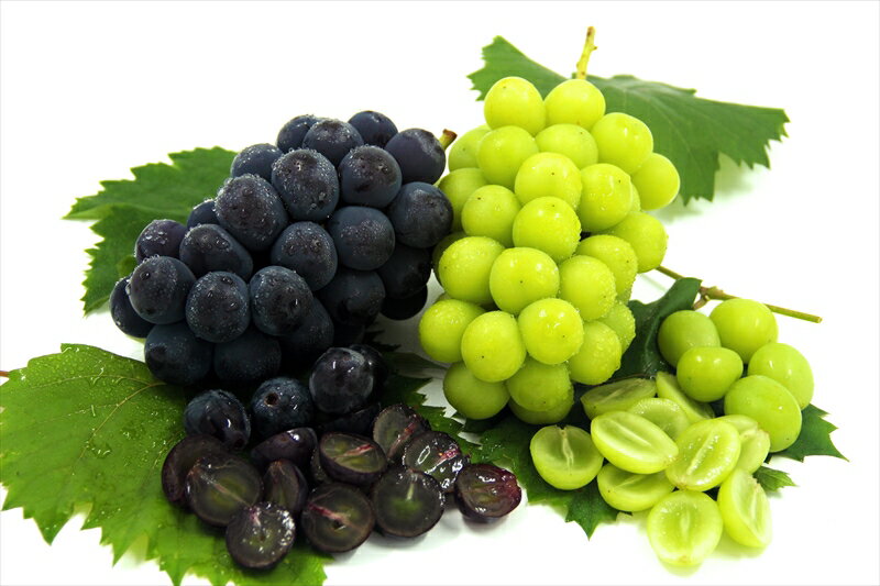 【ふるさと納税】 ＜2026年発送先行予約＞ 厳選！南アルプス市産　ぶどう2種詰合せ　2房　約1.0kg ふるさと納税 葡萄 ぶどう 果物 フルーツ 詰め合わせ おすすめ 山梨県 南アルプス市 送料無料 ALPDD008