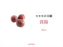 【ふるさと納税】【2025年先行予約】一生に一度は食べたい!王様のひと玉【貴陽】おうち用(すもも)お試しセット 約6玉<2025年7月16日出荷開始〜2025年7月31日出荷終了>【 フルーツ 山梨県 南アルプス市 】 その1