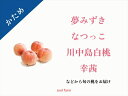 【ふるさと納税】 【2025年先行予約】【かため桃】桃好き必見!桃のリレーが楽しめる!季節の【桃】おうち用(もも)お試しセット 約2kg 約5~8玉 ふるさと納税 桃 もも ピーチ かため桃 白桃 黄桃 おすすめ 山梨県 南アルプス市 送料無料 ALPDS002