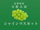 【ふるさと納税】 <2025年発送先行予約>大粒大房!山梨県産シャインマスカット 3房 ふるさと納税 シャインマスカット 大粒シャインマスカット マスカット 葡萄 極上 大粒 おすすめ 山梨県 南アルプス市 送料無料 ALPDS008