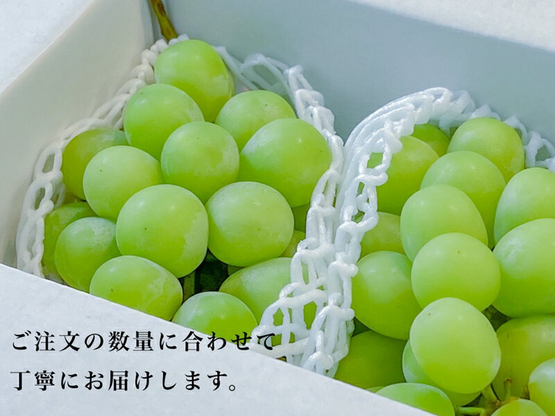 【ふるさと納税】 ＜2026年発送先行予約＞大粒大房！山梨県産シャインマスカット 3房 ふるさと納税 シャインマスカット 大粒シャインマスカット マスカット 葡萄 極上 大粒 おすすめ 山梨県 南アルプス市 送料無料 ALPDS008