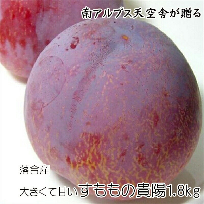 【ふるさと納税】【先行予約】南アルプス天空舎が贈る落合産大きくて甘いすももの貴陽1.8kg＜出荷開始：2024年7月～＞【 スモモ すもも sumomo プラム 貴陽 きよう くだもの 人気 ギフト プレゼント 贈り物 山梨県 南アルプス市 】のサムネイル