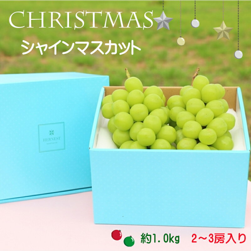 【ふるさと納税】【先行予約】冬季限定！！山梨県南アルプス市産　クリスマスシャインマスカット　約1.0kg　2～3房入り＜出荷開始：2024年12月＞【内祝い 内祝 お祝い 御祝い 御祝 お礼 御礼 プレゼント ギフト 贈り物 お歳暮 山梨県 南アルプス市 】のサムネイル