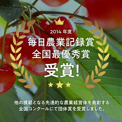 【ふるさと納税】さくらんぼ 先行予約 毎日農業記録賞 全国最優秀賞 受賞 極上品大玉・さくらんぼ 2L〜3L二段並べ 約1200g／フルーツ グランプリ ※2022年6月中旬以降の発送 送料無料･･･ 画像2