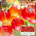 さくらんぼ 2L〜3L L~2L 約350g 約500g 約700g 約1kg 毎日農業記録賞 全国最優秀賞 受賞 完熟大玉バラ 紅秀峰 佐藤錦 やまなしGAP認証 フルーツ グランプリ ※2025年6月中旬以降順次発送 岩原果樹園 山梨県 北杜市 送料無料