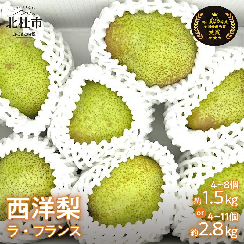 ラ・フランス 西洋梨 約1.5kg 約2.8kg [先行予約] 毎日農業記録賞・全国最優秀賞受賞 やまなしGAP認証 梨 フルーツ 果物 甘い ジューシー 糖度14度以上 安全安心 高品質 贈答品 贈答 数量限定 山梨県産 北杜市 送料無料