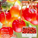 【ふるさと納税】 さくらんぼ 完熟 大玉 バラ 3L~4L サイズ 【2026年発送 先行予約】 選べる容量 約350g 約500g 約700g 約1kg 佐藤錦 紅秀峰 優良系統 チェリー 果物 やまなしGAP認証 フルーツ グランプリ ※2026年6月中旬以降順次発送 岩原果樹園 山梨県 北杜市 送料無料