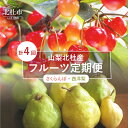 【ふるさと納税】 フルーツ さくらんぼ 西洋梨 最高品質 定...