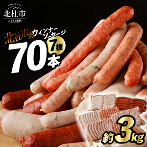 【ふるさと納税】ウインナー ソーセージ 70本 詰め合わせ 3kg 7種類 大容量 業務用 数量限定 シポラタウインナー ジャーマン チョリソー ゆずこしょう 大葉 野沢菜 バーベキュー キャンプ パーティー セット 手作り フランク 食べ比べ 山梨県 北杜市 白州 送料無料