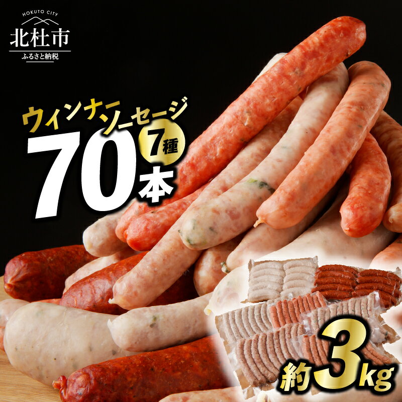 【ふるさと納税】ウインナー ソーセージ 70本 詰め合わせ 3kg 7種類 大容量 業務用 数量限定 シポラタウインナー ジャーマン チョリソー ゆずこしょう 大葉 野沢菜 バーベキュー キャンプ パー…