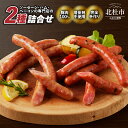【ふるさと納税】 ソーセージ 2種 食べ比べ セット 大葉ソーセージ ゆずこしょうソーセージ 各5本 120g×1パック 豚肉100% 手作り お手軽 おつまみ キャンプ バーベキュー ウインナー オールポーク 豚肉100% 天 山梨県 北杜市 送料無料 6000円 6000 10000円以下