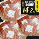 【ふるさと納税】 【3ヶ月定期便】 ウィンナー ソーセージ 詰め合わせ 総重量4.2kg 4種類 業務用 シポラタウインナー チョリソー 粗挽き 大葉 バーベキュー キャンプ パーティー セット 手作り…