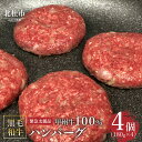  甲州牛100％ハンバーグ 山梨県 北杜市産 180g×4ヶ入 送料無料