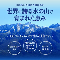 【ふるさと納税】 さくらんぼ フルーツ 約500g 特秀品 2L以上 紅秀峰 大玉 送料無料 画像2