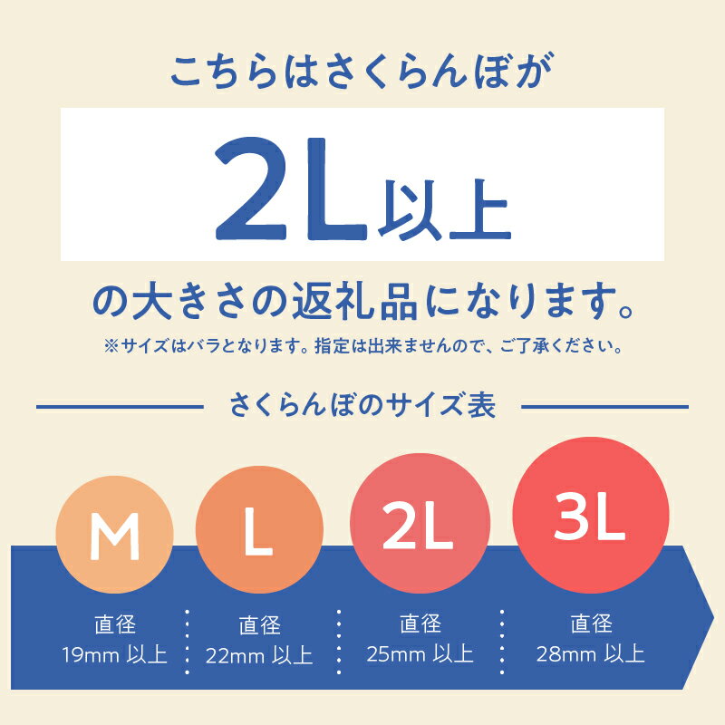 【ふるさと納税】 【2024年先行予約】 さくらんぼ 佐藤錦 紅秀峰 選べる容量 500g 1000g 特秀品 2L以上 大玉 果物 くだもの フルーツ 夏果実 サクランボ チェリー 桜桃 高級 山梨県産 産地直送 中嶋園 送料無料