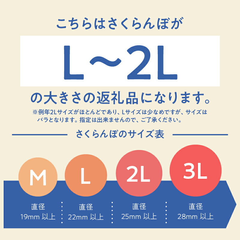 【ふるさと納税】 【2024年先行予約】 さくらんぼ 佐藤錦 紅秀峰 選べる容量 500g 1000g L～2L 大粒 大玉 果物 くだもの フルーツ 夏果実 サクランボ チェリー 桜桃 高級 山梨県産 産地直送 中嶋園 送料無料