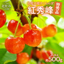 【ふるさと納税】 さくらんぼ フルーツ 約500g 特秀品 2L以上 紅秀峰 大玉 送料無料