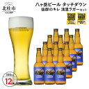 【ふるさと納税】 地ビール クラフトビール 330ml×12