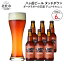 ڤդ뤵Ǽǡ ϥӡ եȥӡ 330ml6 饬βƻ ֥ǥ󥱥 Ф ˨ڤ¼ ROCK ץ쥼 ե £ʪ £ Ȱ  ӡ å  λ Τ  