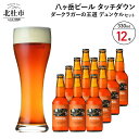 【ふるさと納税】 地ビール クラフトビール 330ml×12