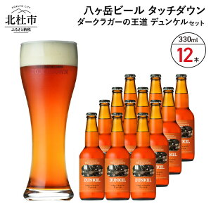 【ふるさと納税】 【クリスマス 正月】 地ビール クラフトビール 330ml×12本 ダークラガーの...