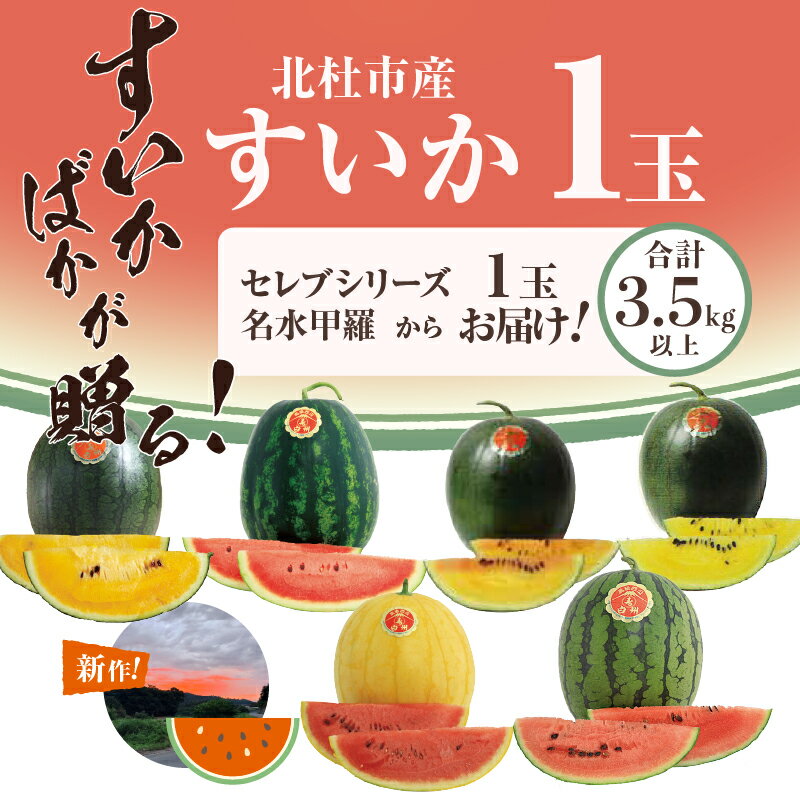 【ふるさと納税】 2024年先行予約 北杜市産すいか スイカ すいか 西瓜 フルーツ 硬い食感 甘み 数量限定 期間限定 セレブシリーズ＋名水甲羅の中から1玉 令和6年産 すいかばか 送料無料