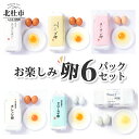 【ふるさと納税】 卵 10個入り 6パック セット おまかせ卵 3〜4種類 食べ比べ お楽しみセット 中村農場 山梨県 北杜市 送料無料