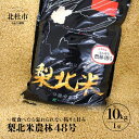 【ふるさと納税】 お米 米 10kg 精米 梨北米農林48号