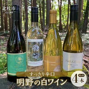 【ふるさと納税】 ワイン セット 白ワイン 辛口 すっきり 4種類 シャルドネ シェンブルガー シャルマンワイン 御勅使川ワイナリー モンデ酒造 サドヤ 720ml 750ml 4本セット お酒 アルコール 北杜 明野 ブドウ 送料無料
