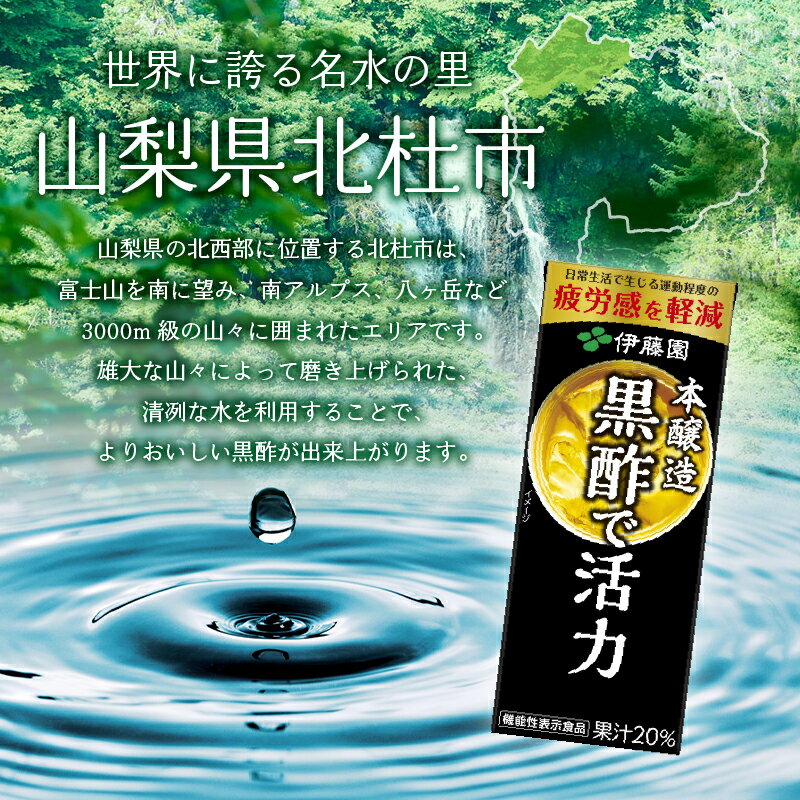 【ふるさと納税】【12カ月定期便】 黒酢で活力...の紹介画像3