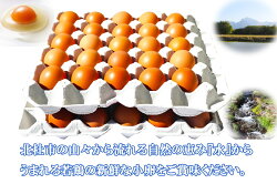 【ふるさと納税】たまご 定期便 6ヵ月 水の恵み小卵 S〜MSサイズ 45個 破卵保証5個入り 鶏卵小玉 山梨県 北杜市産 卵 送料無料 画像2