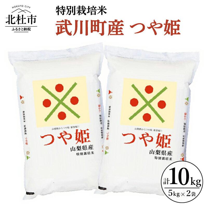 【ふるさと納税】 米 令和5年度米 特別栽培米 武川町産 つや姫 5kg 2袋 山梨県北杜市 送料無料