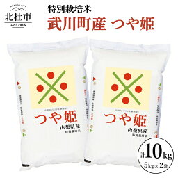 【ふるさと納税】 米 令和5年度米 特別栽培米 武川町産 つや姫 5kg×2袋 山梨県北杜市 送料無料