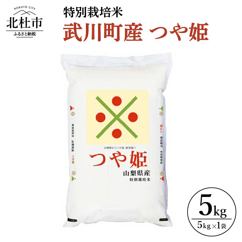 【ふるさと納税】 米 令和5年度米 特別栽培米 武川町産 つや姫 5kg 山梨県北杜市 送料無料