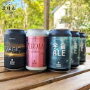 【ふるさと納税】 うちゅうブルーイング クラフトビール セット 9本 350ml 宇宙ビール うちゅうビール 飲み比べ 八ヶ岳 せんのや 送料無料