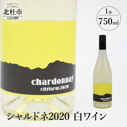 ワイン 白ワイン シャルドネ2020 750ml 白州産 シャルドネ種100% 母の日 父の日 送料無料