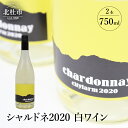 【ふるさと納税】ワイン 白ワイン シャルドネ2020 750ml×2本セット 白州産 シャルドネ種100% 母の日 父の日 送料無料