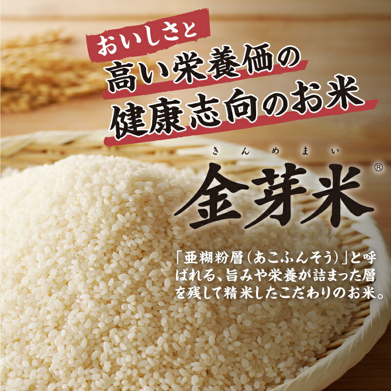 【ふるさと納税】 定期便 米 金芽米 選べる容量 4kg 10kg 選べる期間 3ヶ月 6ヶ月 12ヶ月 無洗米 特別栽培米 農林48号 ごはん 山梨県 北杜市産 国産 ブランド米 仕送りギフト