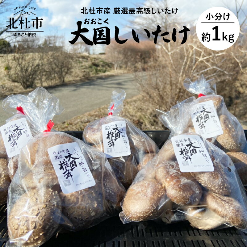 【ふるさと納税】大国しいたけ 菌床しいたけ 厳選 5袋セット 200×5袋 きのこ 山梨県産 送料無料