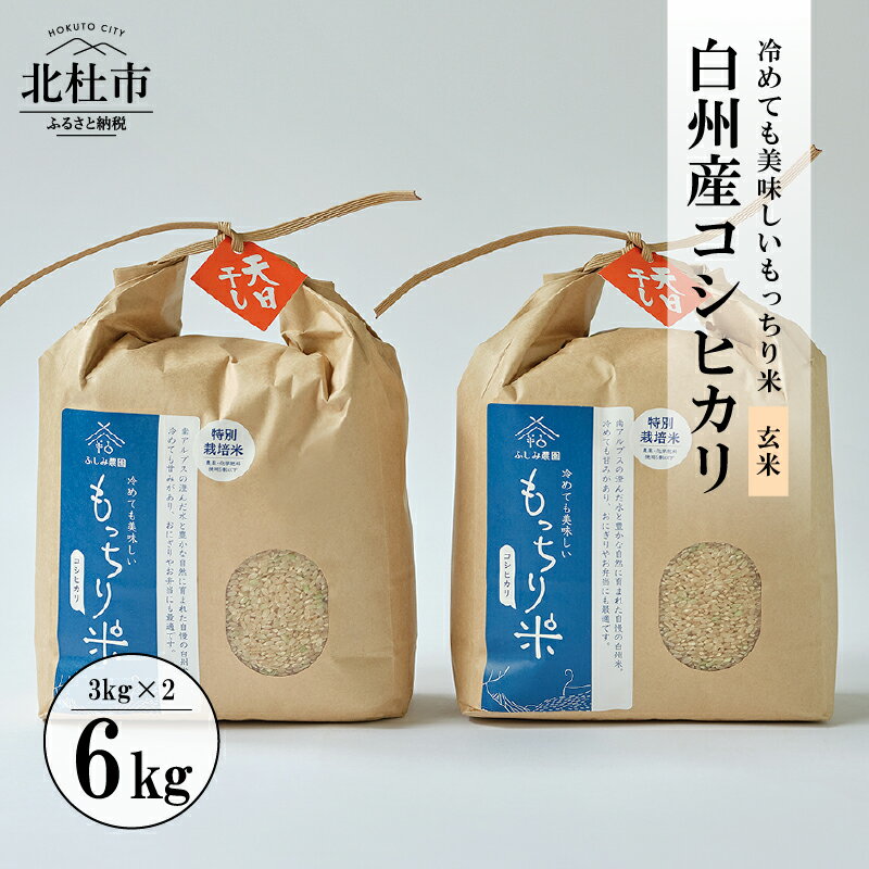 【ふるさと納税】 米 コシヒカリ 令和5年度 玄米 3kg×2袋 天日干し米 白州産 計6kg もっちり米 特別栽..