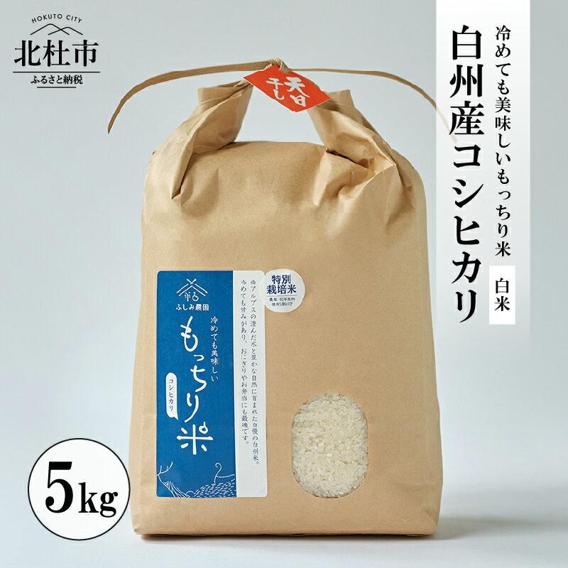 米 コシヒカリ 令和5年度 白米 5kg 天日干し米 精米 白州産 もっちり米 特別栽培米 送料無料