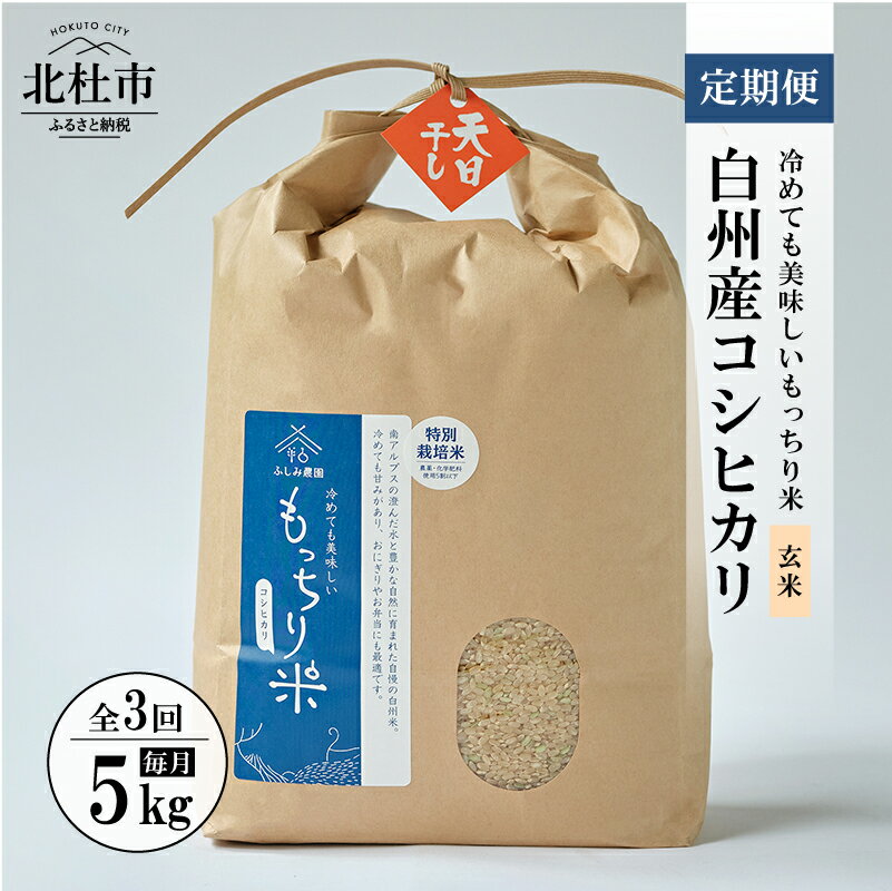 【ふるさと納税】 【3ヶ月定期便】 米 令和5年度米 コシヒカリ 玄米 定期便 5kg×3回 天日干し米 3ヶ月連続 白州産 もっちり米 特別栽培米 仕送りギフト