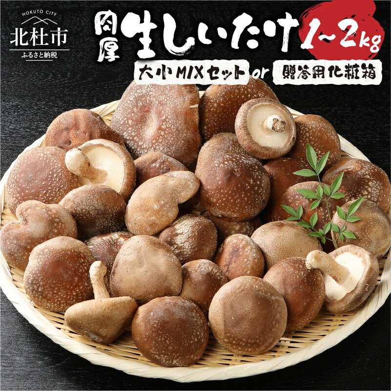 【ふるさと納税】 生しいたけ 選べる容量 大小Mix 1kg 2kg 贈答用 1kg 詰合せ セット 肉厚 菌床しいたけ きのこ 北杜市産 送料無料