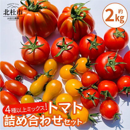 トマト 詰め合わせ セット 4種類以上 ミックス もぎたて 新鮮 明野菜園 自社農場 山梨県 北杜市 送料無料
