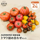 【ふるさと納税】 トマト 詰め合わせ セット 4種類以上 ミックス もぎたて 新鮮 明野菜園 自社農場 山梨県 北杜市 送料無料