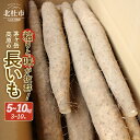 【ふるさと納税】 長芋 長いも 選べる容量 5kg 10kg 約3~10本 ながいも 山芋 野菜 とろろ 磯辺揚げ 粘り 期間限定 明野町 茅ヶ岳高原 山梨県 北杜市 送料無料